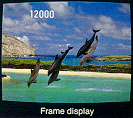 Frame Display